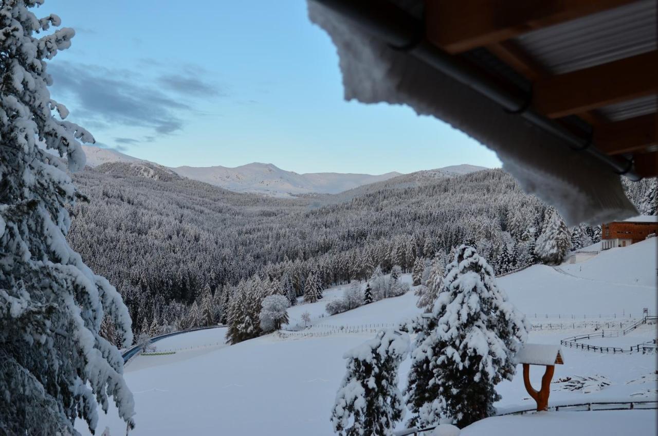 Ferienhaus Seetaler Alpen Obdach المظهر الخارجي الصورة