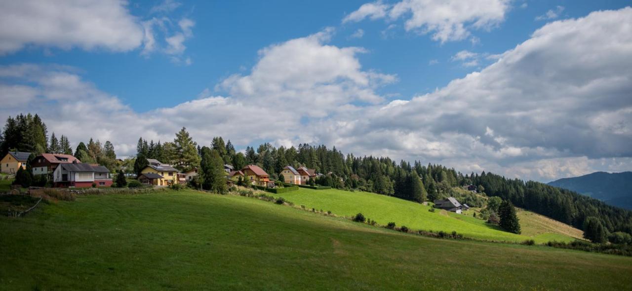 Ferienhaus Seetaler Alpen Obdach المظهر الخارجي الصورة