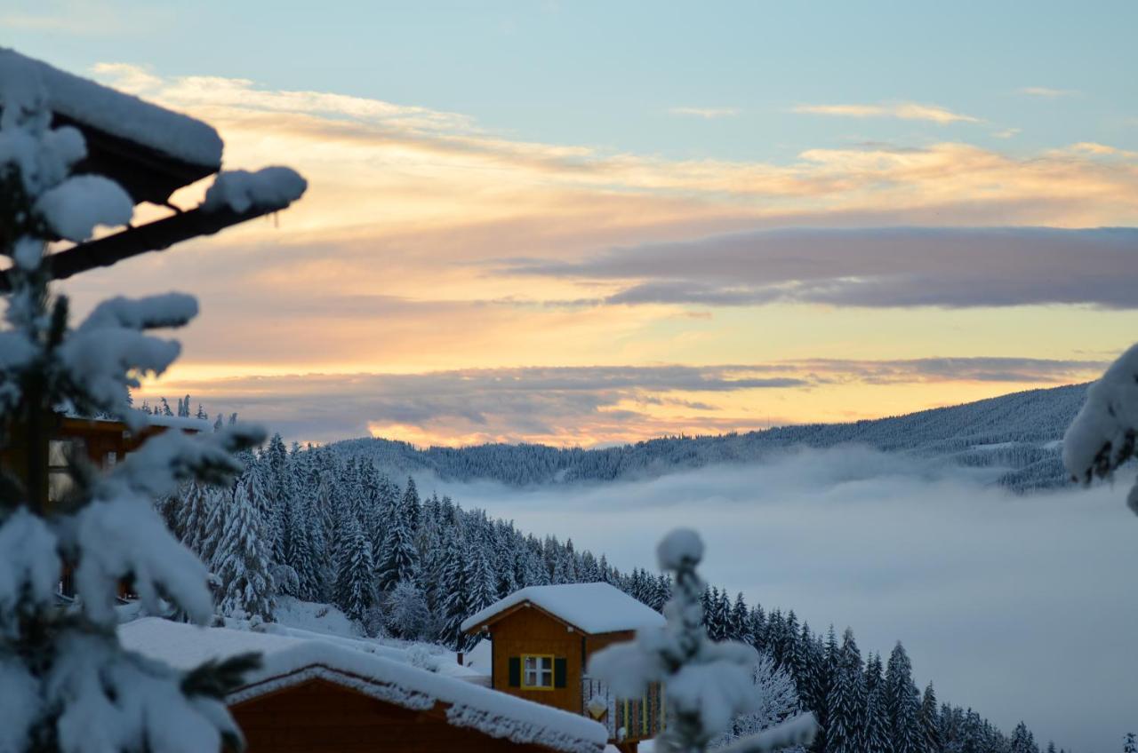 Ferienhaus Seetaler Alpen Obdach المظهر الخارجي الصورة