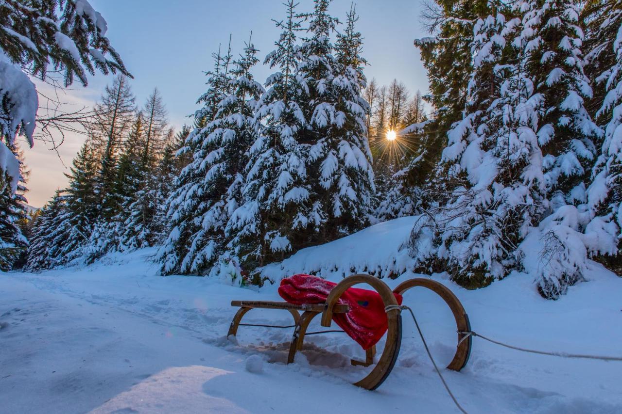 Ferienhaus Seetaler Alpen Obdach المظهر الخارجي الصورة
